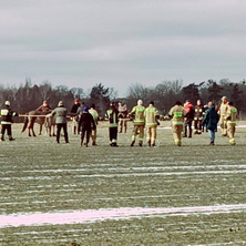 Konie uciekły z gospodarstwa. Intensywne poszukiwania